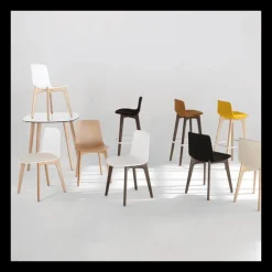 Lottus Enea® Chaise design en polypropylène et pieds bois