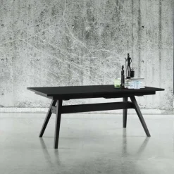 SM11 Table de séjour scandinave extensible en bois