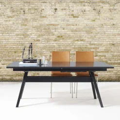 SM11 Table de séjour scandinave extensible en bois