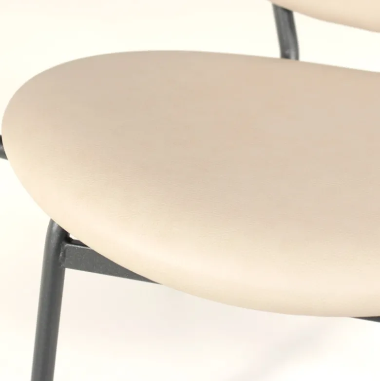 Titan Carrier® Fauteuil confort pour personne à forte corpulence
